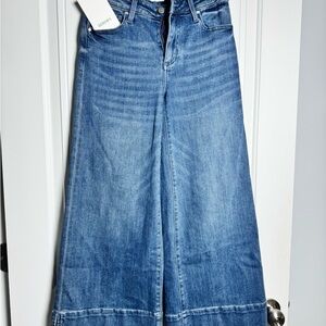 Stylish Blue Flare Jeans